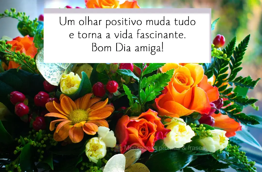 Um olhar positivo muda tudo e torna a vida fascinante. Bom Dia amiga!