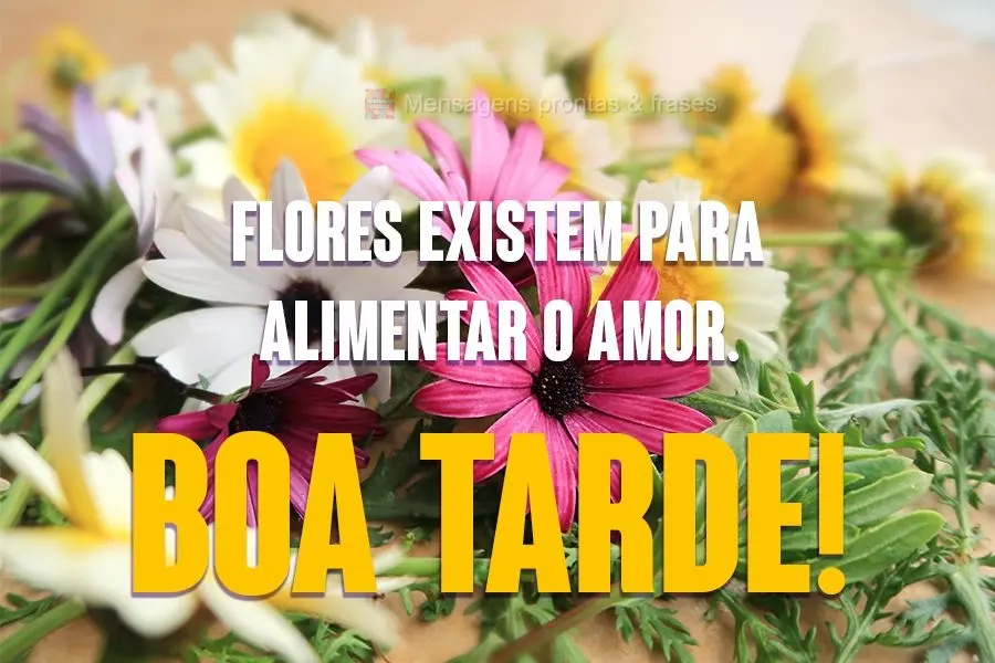 Flores existem para alimentar o amor.  Boa Tarde!