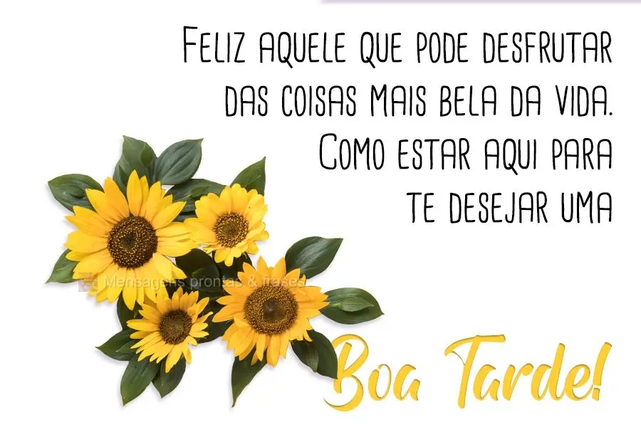 Feliz aquele que pode desfrutar das coisas mais belas da vida... Como estar aqui para te desejar uma  BOA TARDE!