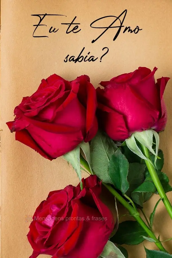Eu te amo, sabia!?