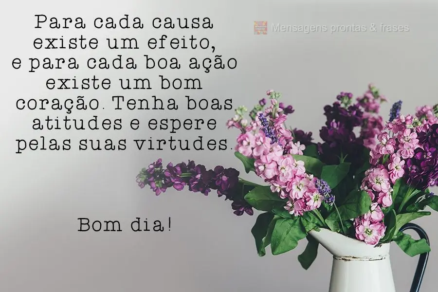 Para cada causa existe um efeito, e para cada boa ação existe um bom coração. Tenha boas atitudes e espere pelas suas virtudes.  Bom dia!