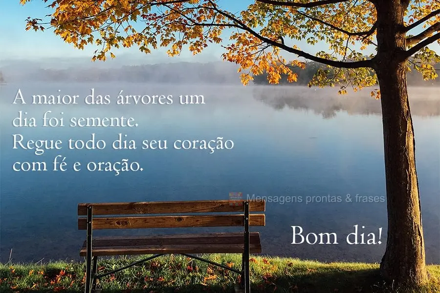 A maior das árvores um dia foi semente. Regue todo dia seu coração com fé e oração.  Bom dia!