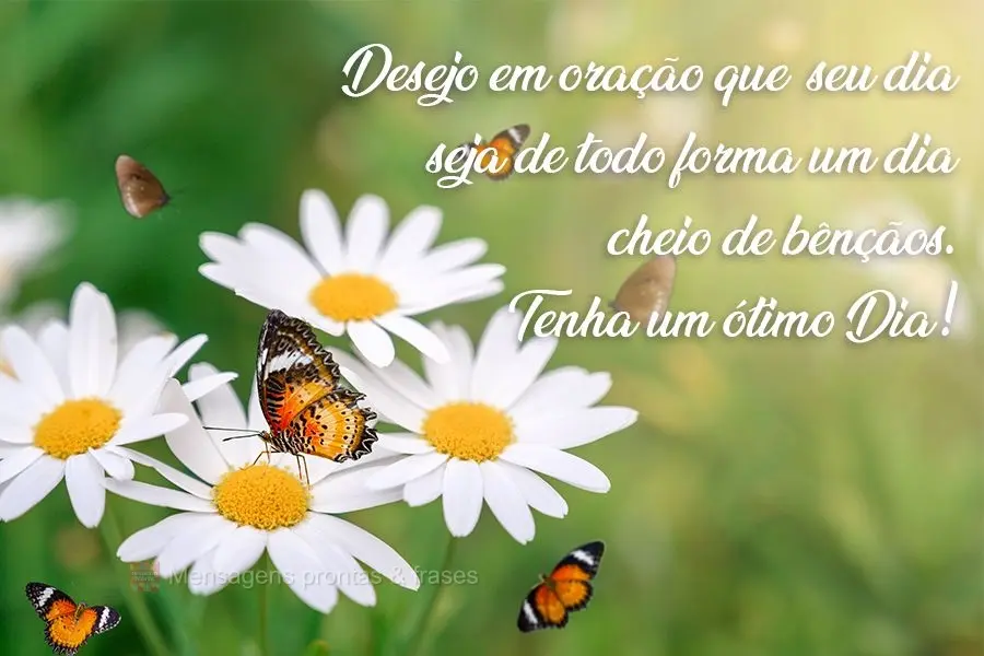 Desejo em oração que  seu dia seja de toda forma um dia cheio de bênçãos. 
 Tenha um ótimo Dia!