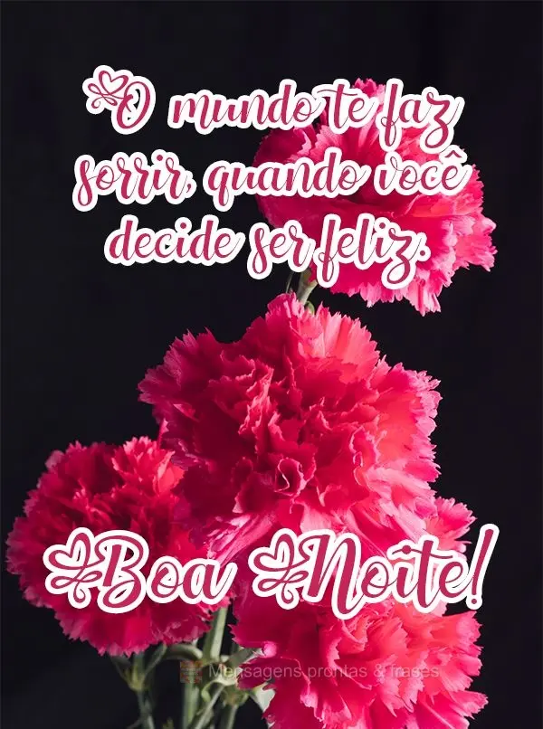 O mundo te faz sorrir, quando você decide ser feliz.
  Boa Noite!