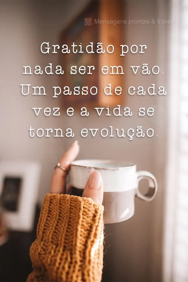 Gratidão por nada ser em vão. Um passo de cada vez e a vida se torna evolução.
