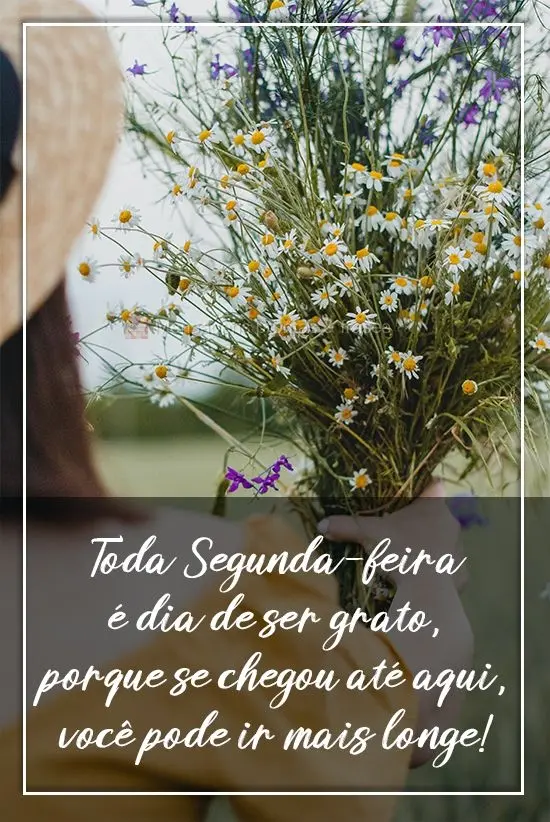 Toda Segunda-feira é dia de ser grato, porque se chegou até aqui, você pode ir mais longe!
