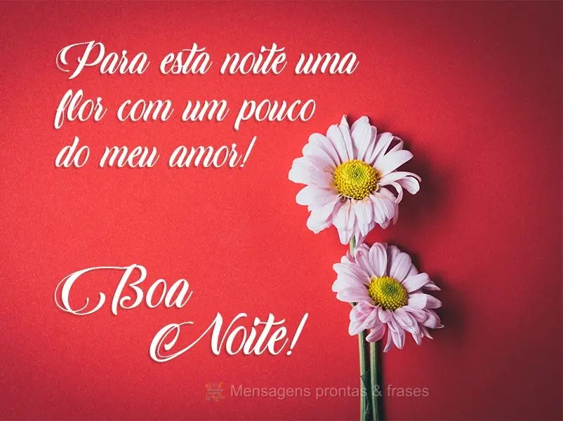 Para esta noite uma flor com um pouco do meu amor! Boa Noite!
