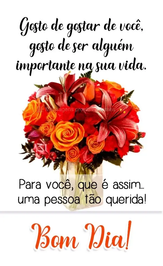 Gosto de gostar de você, gosto de ser alguém importante na sua vida. Para você, que é assim...um pessoa tão querida! 
 Bom Dia!