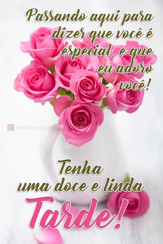 Passando aqui para dizer que você é especial, e que eu adoro você!
  Tenha uma doce e linda Tarde!