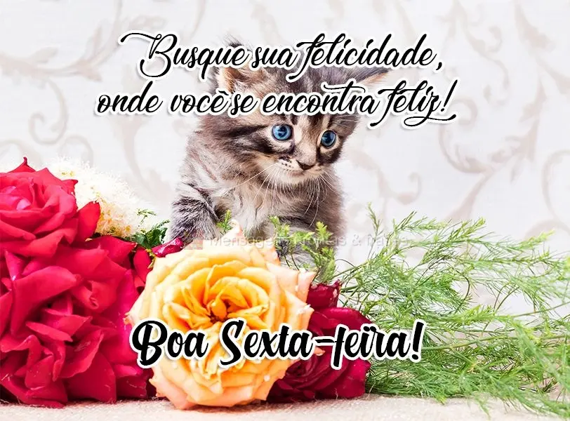 Busque sua felicidade onde você se encontra feliz! 
 Boa Sexta-feira!