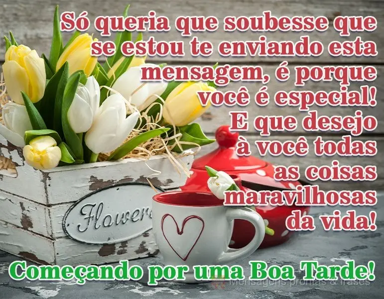 Só queria que soubesse que se estou te enviando esta mensagem, é porque você é especial! E que desejo a você todas as cosas maravilhosas da vida... ...