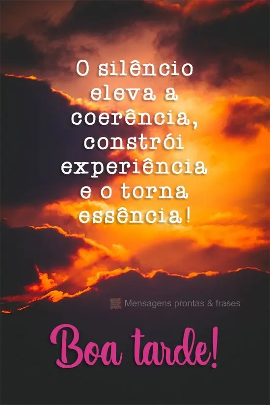 O silêncio eleva a coerência, constrói experiência e o torna essência! 
 Boa  Tarde!