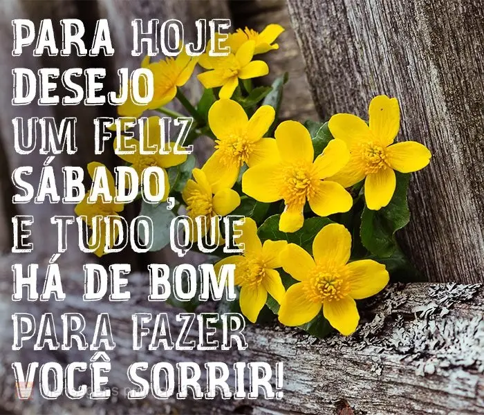 Para hoje desejo um Feliz Sábado, e tudo que há de bom para fazer você sorrir!
