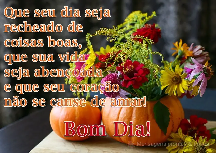 Que seu dia seja recheado de coisas boas, que sua vida seja abençoada e que seu coração não se canse de amar! 
 Bom Dia!