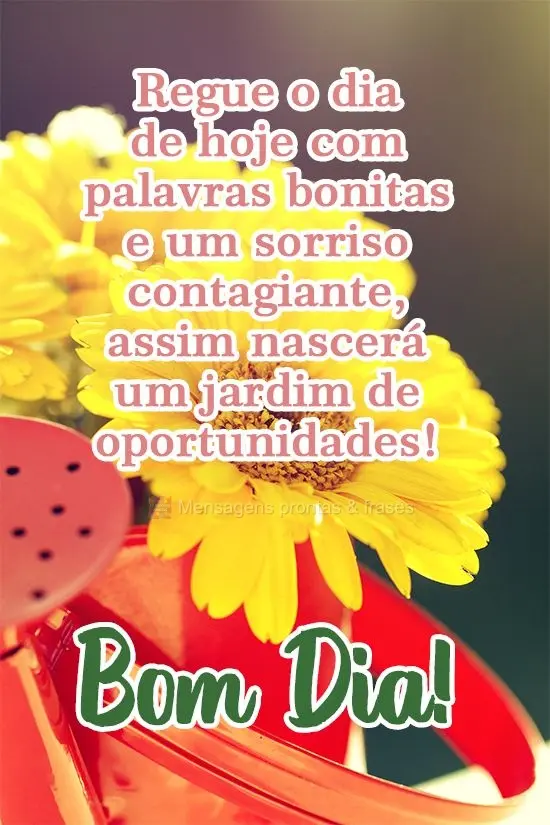Regue o dia de hoje com palavras bonitas e um sorriso contagiante, assim nascerá um jardim de oportunidades!
  Bom Dia!