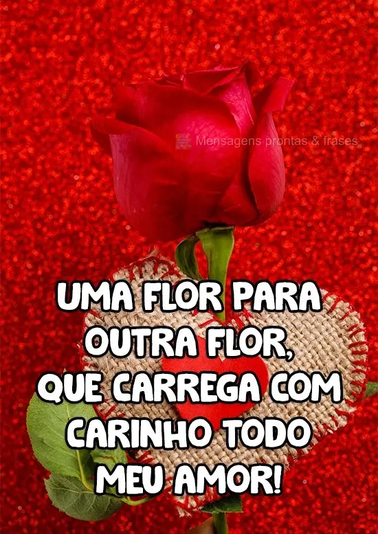 Uma flor para outra flor, que carrega com carinho todo meu amor!
