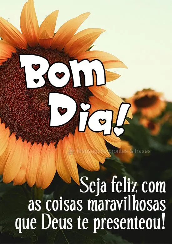 Seja feliz com as coisas maravilhosas que Deus te presenteou!
 Bom Dia! 