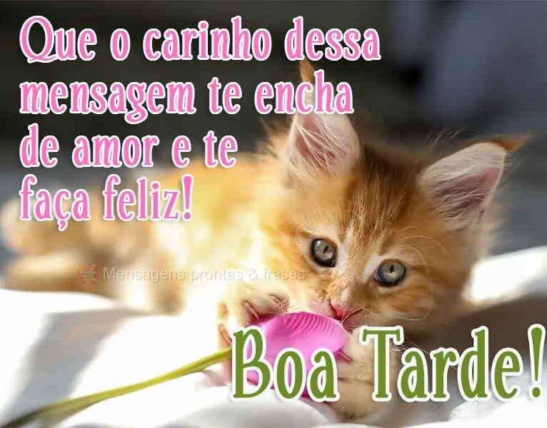 Que o carinho dessa mensagem te encha de amor e te faça feliz! 
 Boa Tarde!