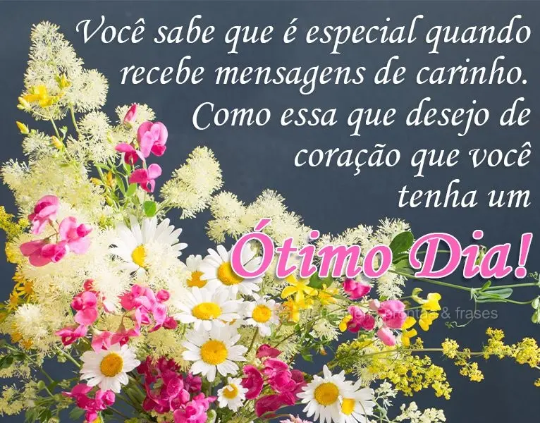 Você sabe que é especial quando recebe mensagens de carinho, como esta em que desejo de coração que você tenha um 
 Ótimo Dia!