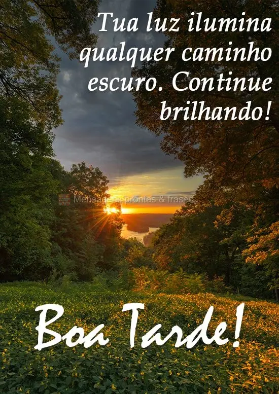 Tua luz ilumina qualquer caminho escuro, continue brilhando! 
 Boa Tarde!