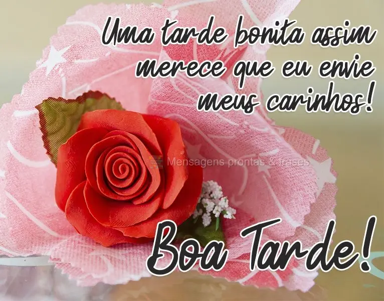 Uma tarde bonita assim merece que eu envie meus carinhos!
  Boa Tarde!