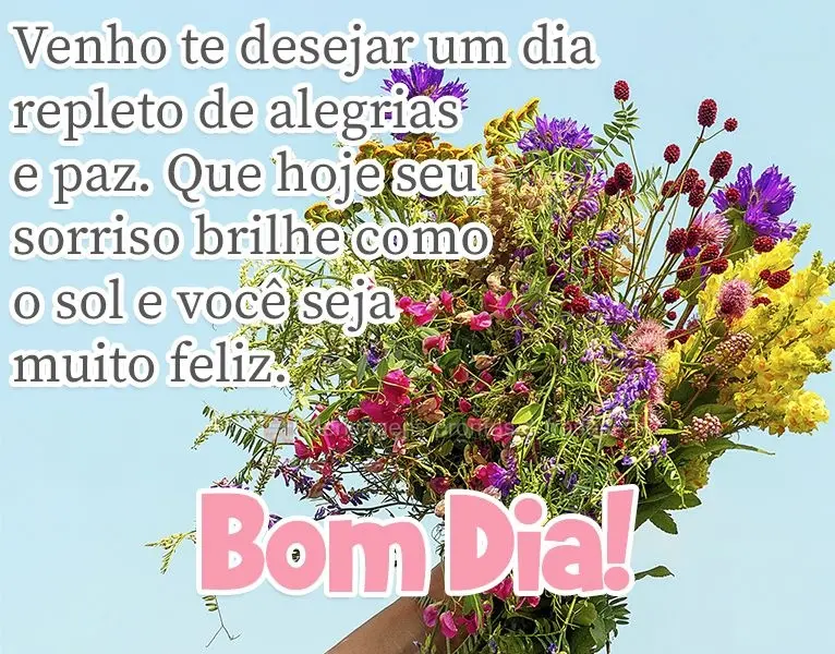 Venho te desejar um dia repleto de alegrias e paz. Que hoje seu sorriso brilhe como o sol e você seja muito feliz.
 Bom dia!