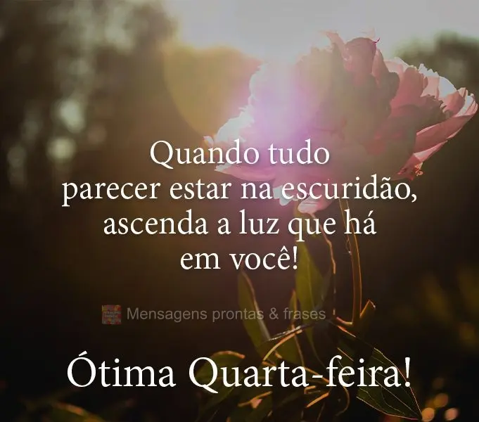Quando tudo parecer estar na escuridão, ascenda a luz que há em você! 
 Ótima Quarta-feira!