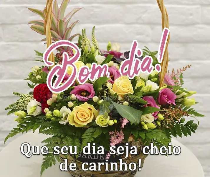 Que seu dia seja cheio de carinho!  Bom dia!