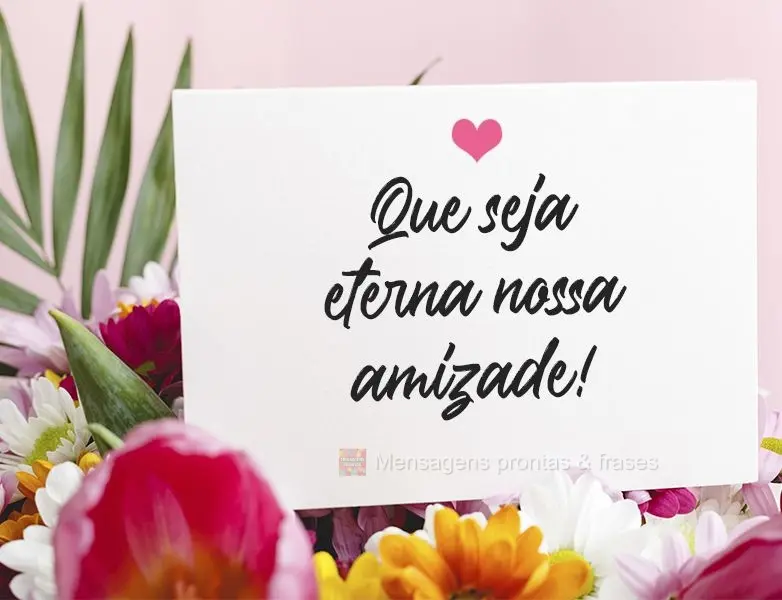 Que seja eterna nossa amizade!
