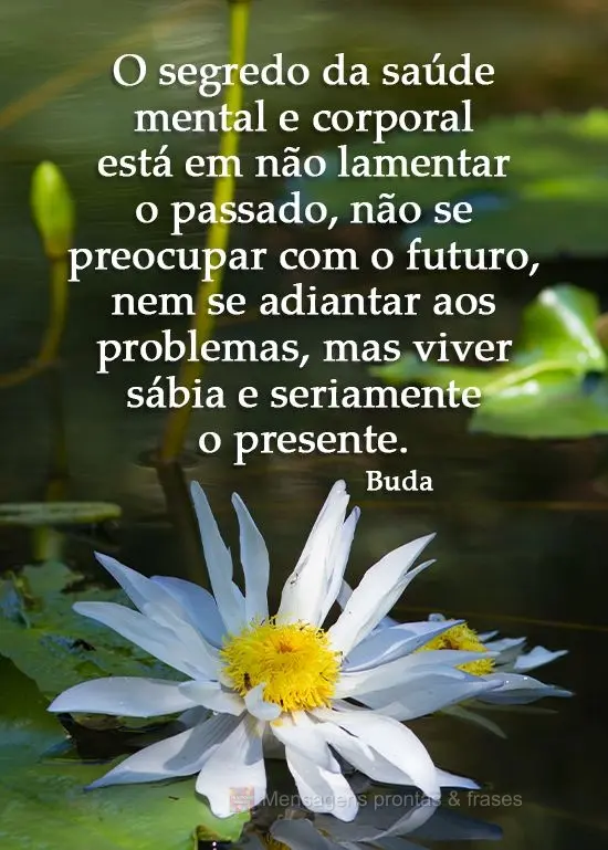 O segredo da saúde mental e corporal está em não lamentar o passado, não se preocupar com o futuro e nem se adiantar aos problemas, mas viver sábia ...