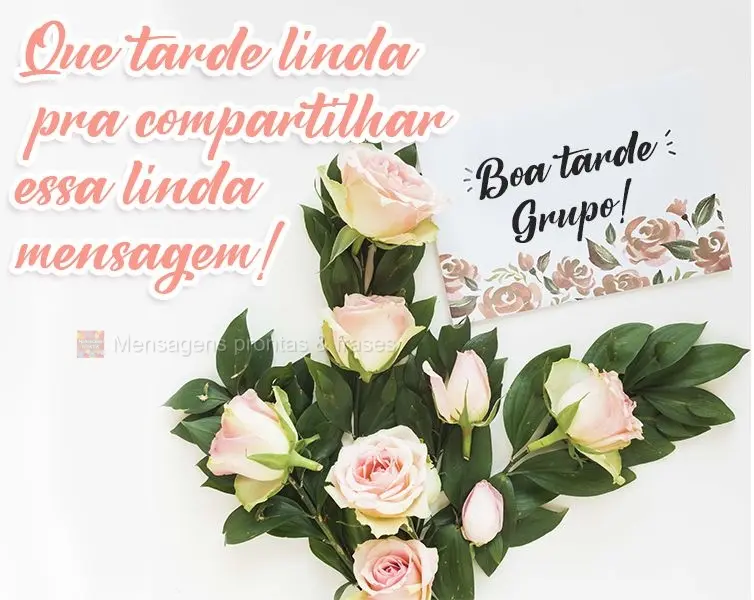 Que tarde linda para compartilhar essa bela mensagem! Boa tarde Grupo!