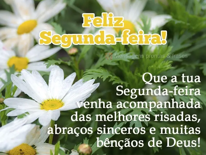 Que a tua Segunda-feira venha acompanhada das melhores risadas, abraços sinceros e muitas bênçãos de Deus! 
 Feliz Segunda-feira!