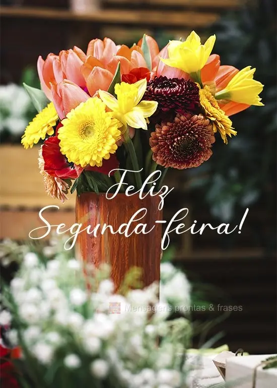 Feliz Segunda-feira!
