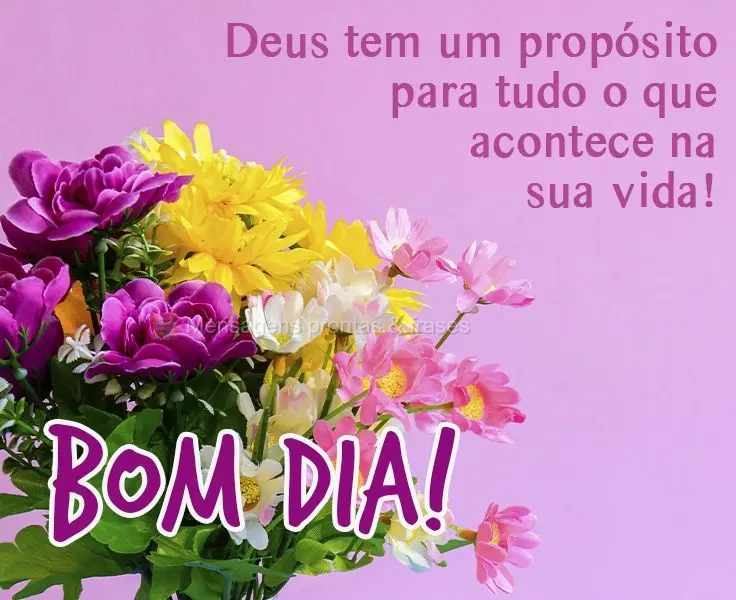 Deus tem um propósito para tudo o que acontece na sua vida! 
 Bom dia!