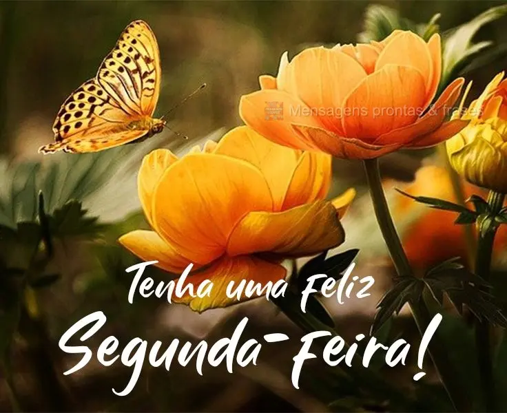 Tenha uma feliz Segunda-feira!
