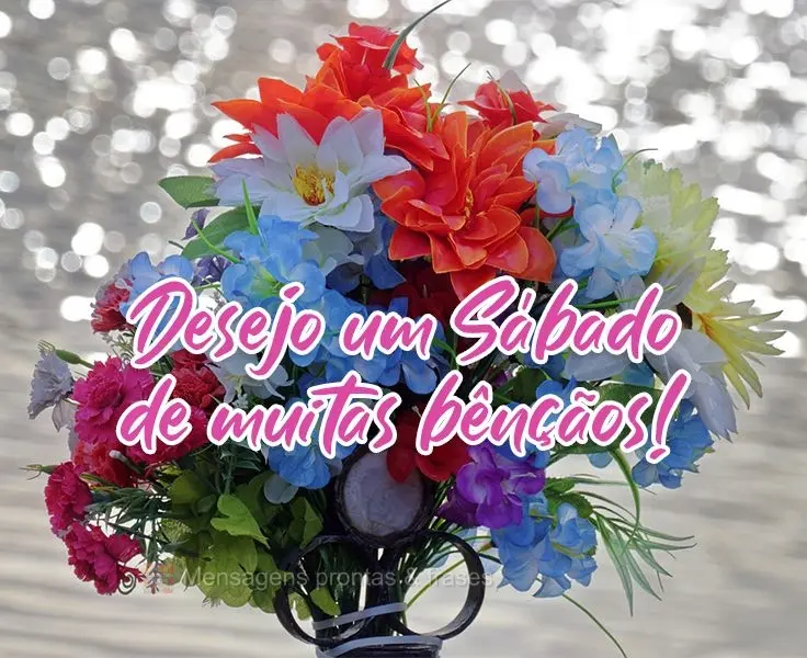 Desejo um Sábado de muitas bênçãos!
