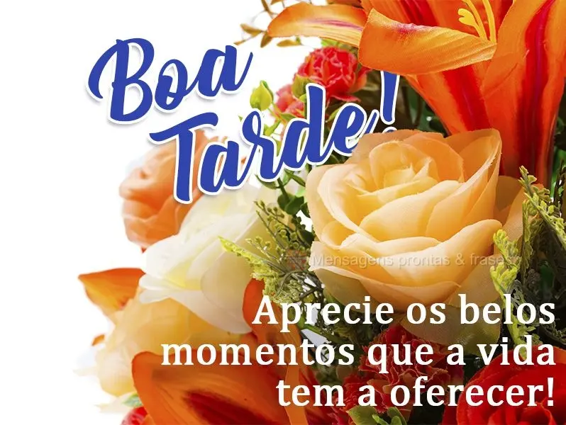 Aprecie os belos momentos que a vida tem a oferecer!  Boa tarde!