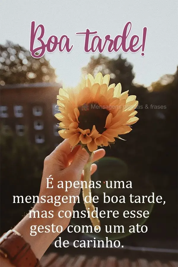 É apenas uma mensagem de boa tarde, mas considere esse gesto como um ato de carinho.  Boa tarde