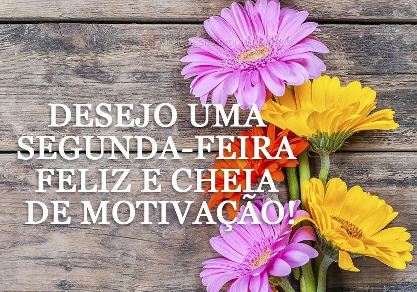 Desejo uma Segunda-feira feliz e cheia de motivação!
