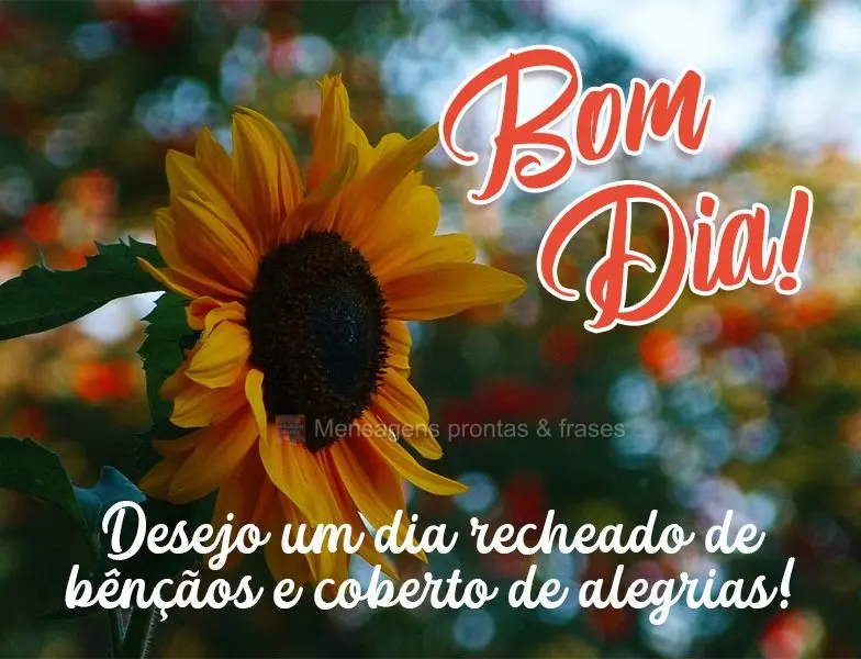 Desejo um dia recheado de bênçãos e coberto de alegrias!  Bom dia!