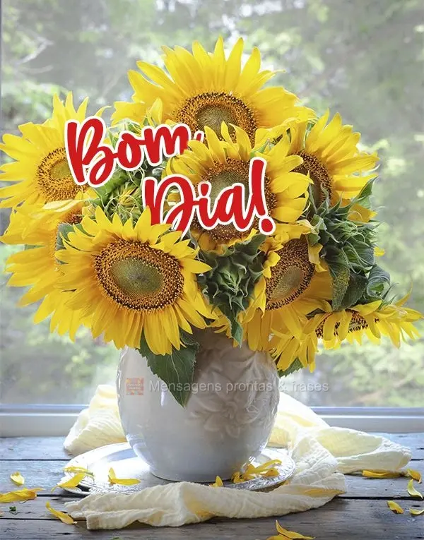 Bom dia!