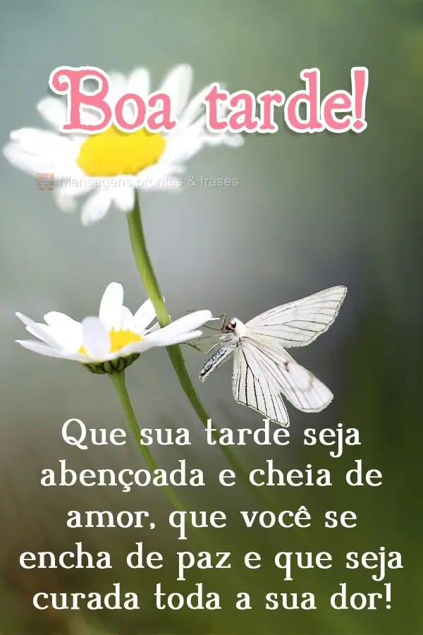 Que sua tarde seja abençoada e cheia de amor, que você se encha de paz e que seja curada toda a sua dor! Boa tarde! 