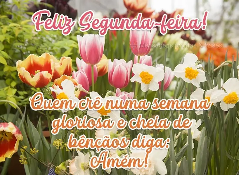 Quem crê numa semana gloriosa e cheia de bênçãos diga: Amém!  Feliz Segunda-feira!