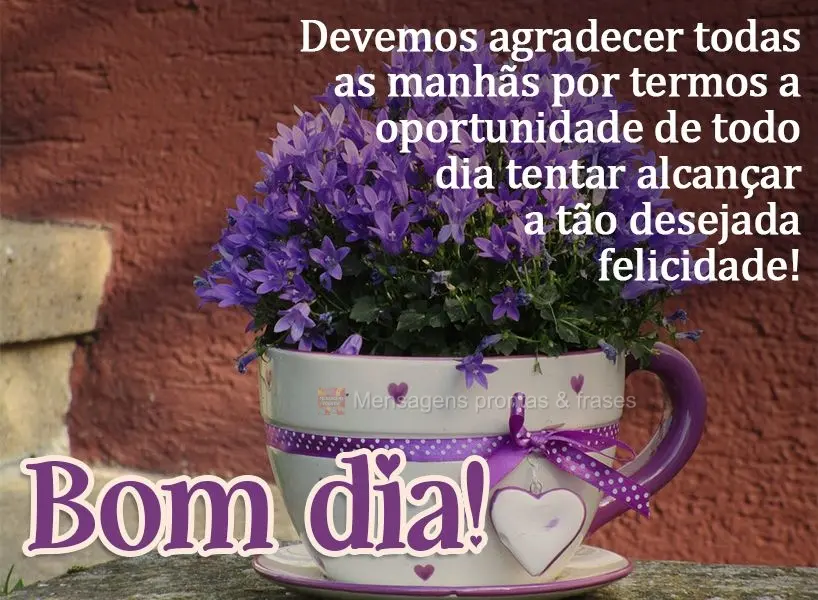 Devemos agradecer todas as manhãs por termos novas oportunidades que a vida nos dá, para descobrirmos a felicidade!  Bom dia!