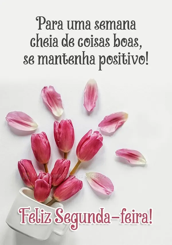 Para uma semana cheia de coisas boas, se mantenha positivo! Feliz Segunda-feira! 
