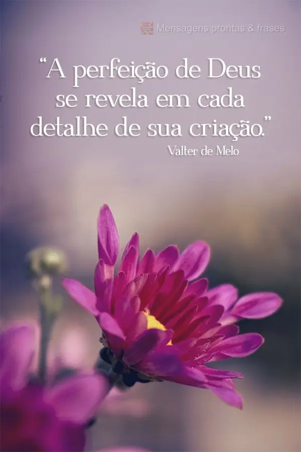 “A perfeição de Deus se revela em cada detalhe de sua criação.” Valter de Melo