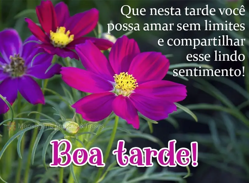 Que nesta tarde você possa amar sem limites e compartilhar esse lindo sentimento! Boa tarde! 