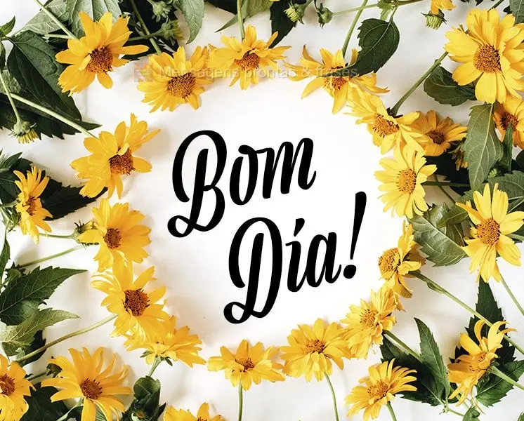 Bom dia!