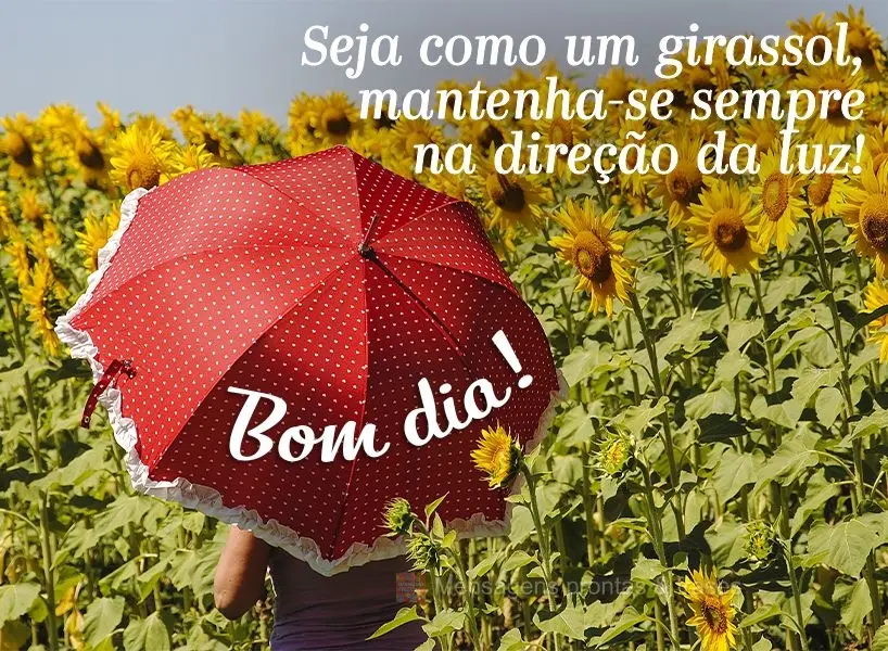 Seja como um girassol, mantenha-se sempre na direção da luz!  Bom dia!