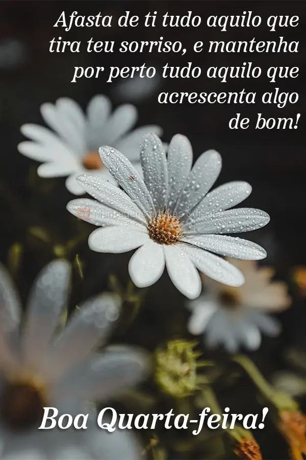 Afasta de ti tudo aquilo que tira seu sorriso, e mantenha por perto tudo aquilo que acrescenta algo de bom!  Boa Quarta-feira!